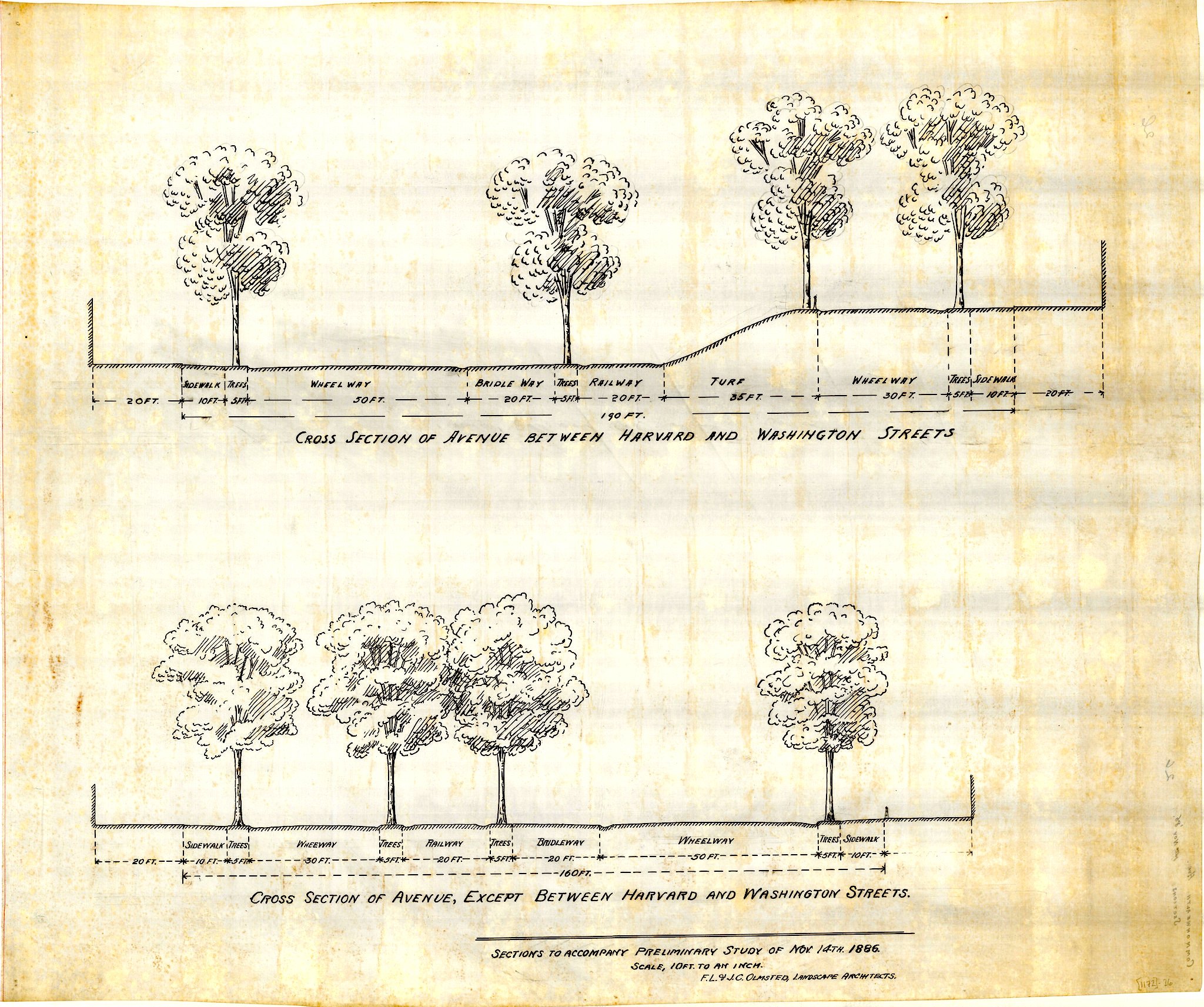 Olmstead_BeaconCrossSection