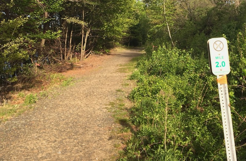 A section of the Cochituate Rail Trail near Cochituate State Park in Natick before the construction of trail improvements. Photo courtesy of Josh Ostroff.