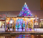 A bus stop in downtown Everett is decked out in flowers as snow falls on the evening of December 17, 2019. Photo courtesy of Boston BRT.