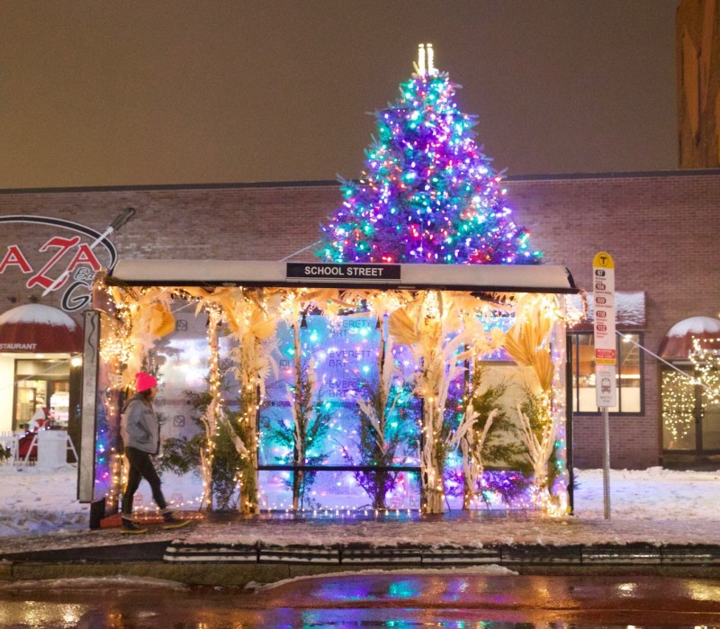 A bus stop in downtown Everett is decked out in flowers as snow falls on the evening of December 17, 2019. Photo courtesy of Boston BRT.