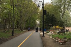 Joggers on the Somerville Community Path near Davis Square.