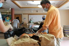 Food for Free volunteers sort food for distribution in Cambridge.
