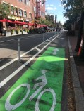 A new protected bike lane on Mount Auburn Street extends east from John F. Kennedy Street near Harvard Square in Cambridge.