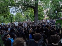 Protesters gather on the Boston Common on May 31, 2020 at a protest against police brutality and the killing of George Floyd. Photo by Wikimedia Commons user GorrillaWarfare, licensed under the Creative Commons Attribution 4.0 International license.